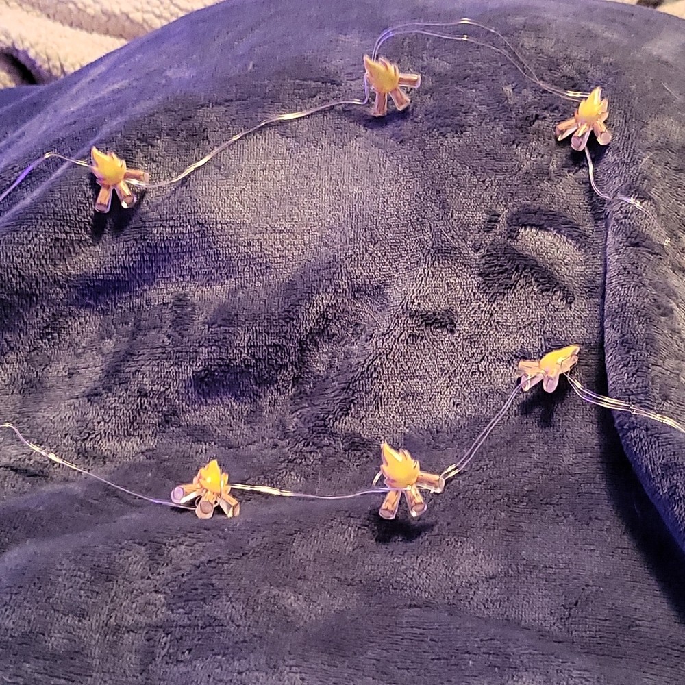 String of campfire battery-operated lights.